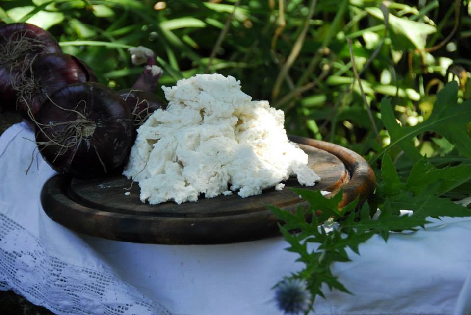 Kozji sir Gazdinstvo Čelik