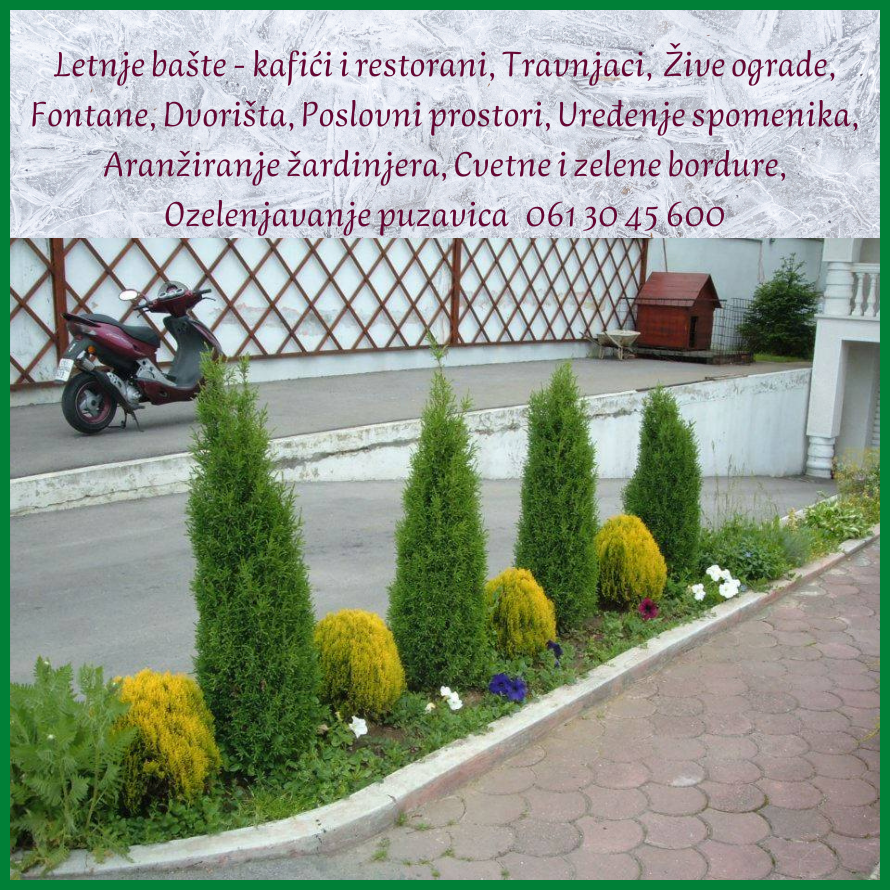 rasadnik vozdovac