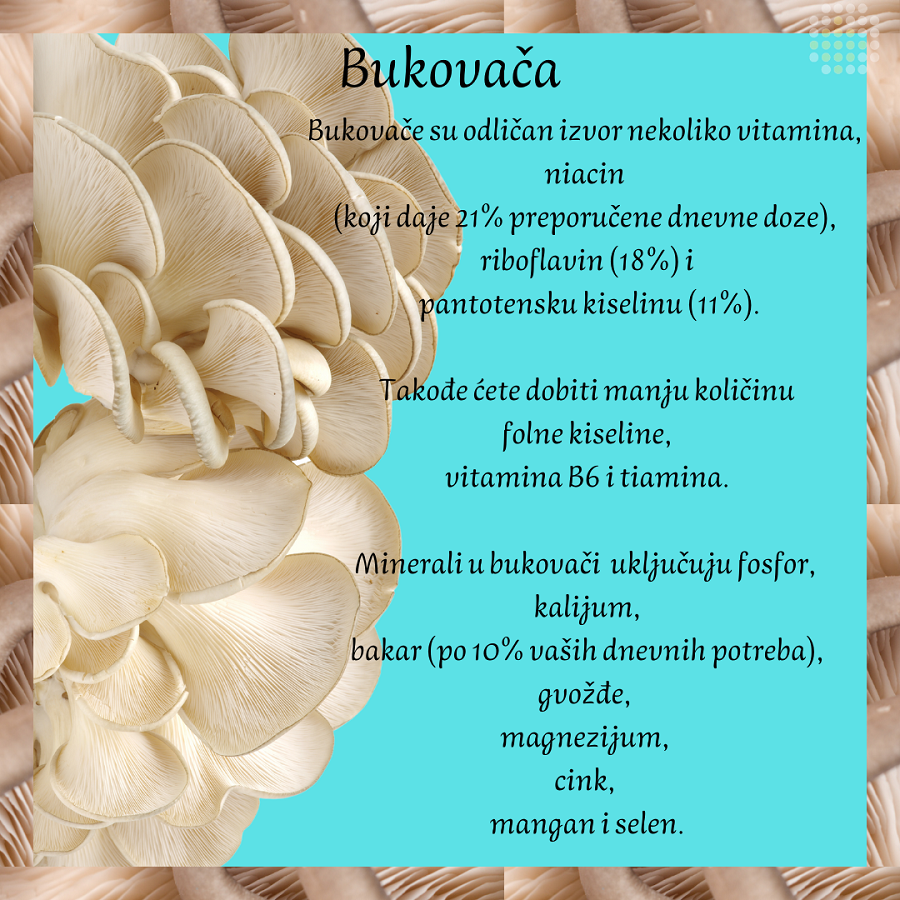jela od bukovace