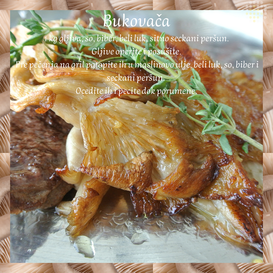 bukovaca 