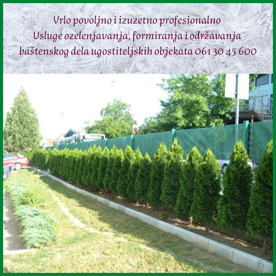 beograd tuje