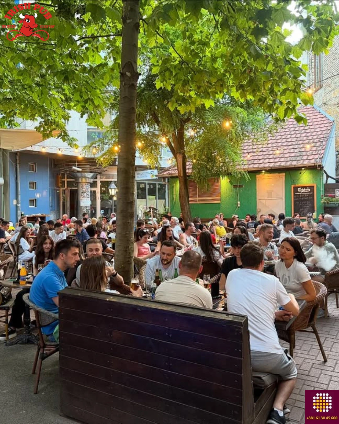 bašta irish pub red cow novi sad puna gostiju