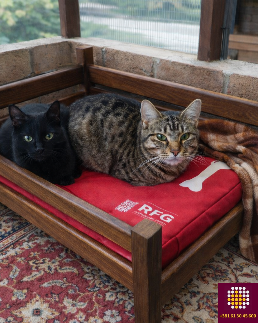 Plastične boce za prehrambenu industriju