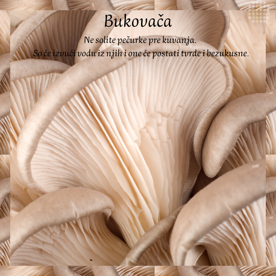 bukovaca dostava