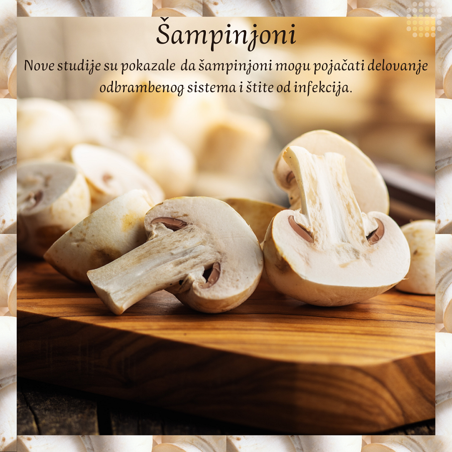 najbolji-sampinjoni-na-trzistu