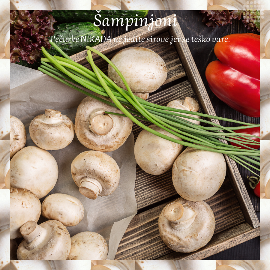 sampinjoni-distribucija