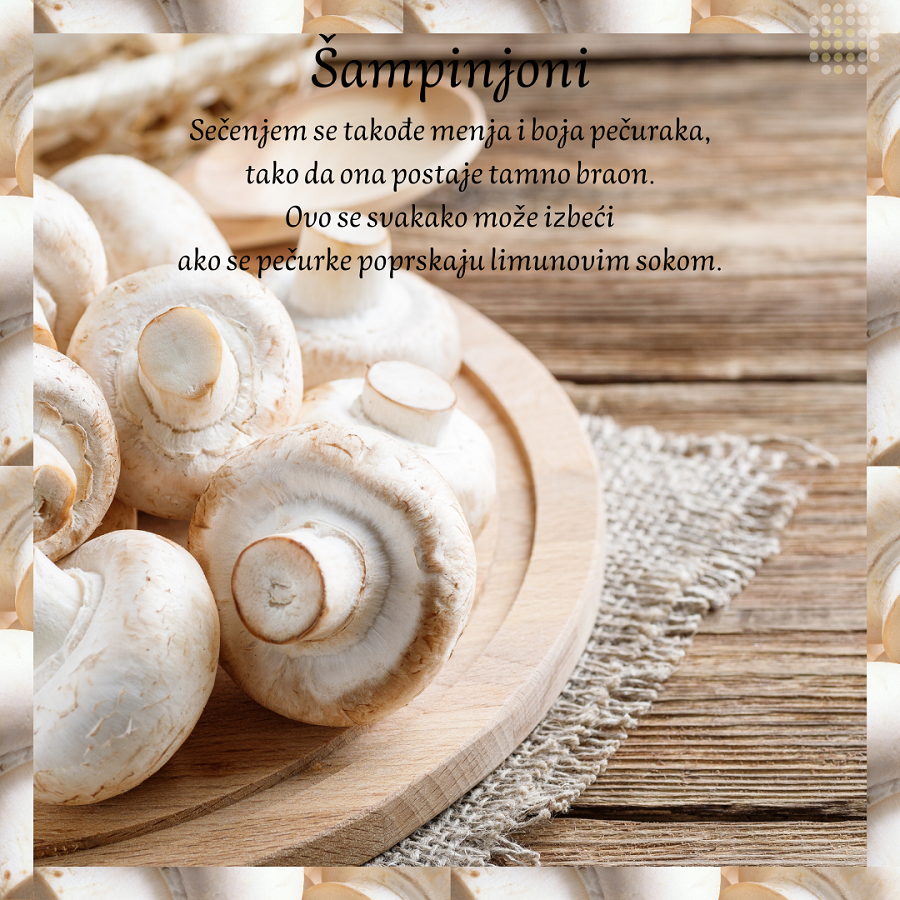 sampinjoni-srbija-veleprodaja