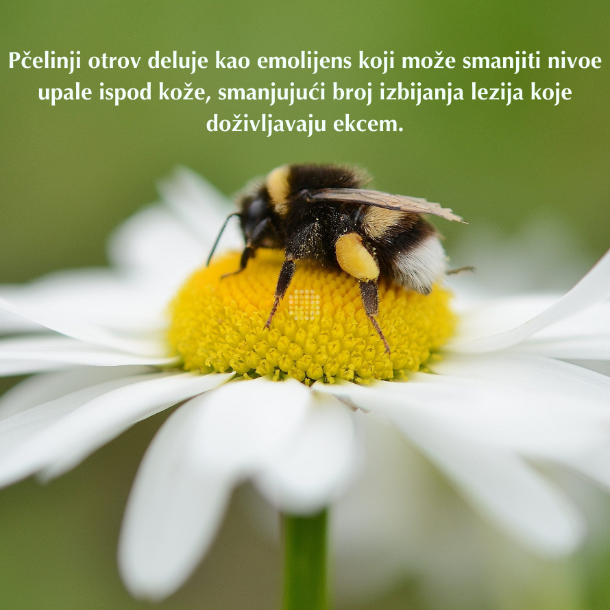 pcelinji produkt